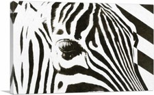 Artcanvas zebra stripes for sale  Niles