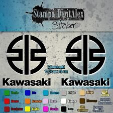 Kawasaki adesivi vinile usato  Incisa Scapaccino