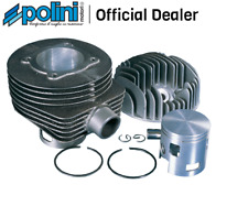 Polini 1400080 gruppo usato  Massa di Somma