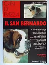 San bernardo giovanni usato  Italia