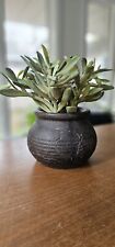 Faux succulant plant for sale  Ashland