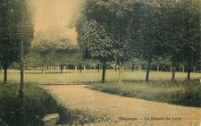 Chaumes champ foire d'occasion  Vasles