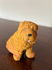 Pouet chien shar d'occasion  Rion-des-Landes