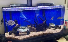 Gallon acrylic fish for sale  San Diego