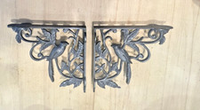 Pair exotic bird for sale  LONDON
