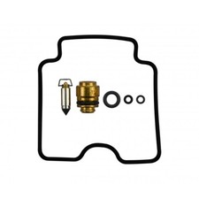 Carburetor repair kit for sale  BRIGHTON