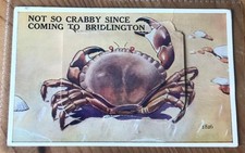 Novelty pull postcard for sale  WORTHING