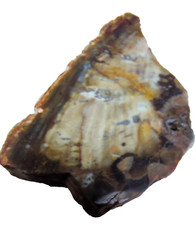 Chalcedon versteinertes holz gebraucht kaufen  Krumhermersdorf