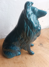 collie for sale collie for sale CHEPSTOW
