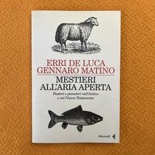 Mestieri all aria usato  Italia