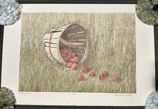 Broken basket limited for sale  Nyack