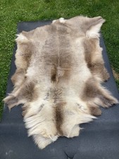 Reindeer skin rug for sale  BOSTON