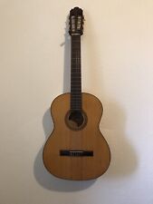 Vintage aria akustische gebraucht kaufen  Regensburg