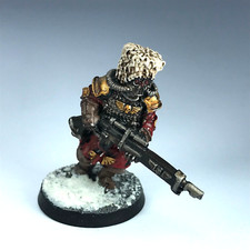 Metal vostroyan guard for sale  CHICHESTER