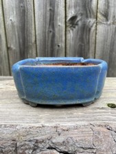 Japanese tokoname bonsai for sale  Culpeper