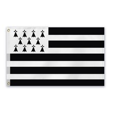Drapeau breton 90x150 d'occasion  France