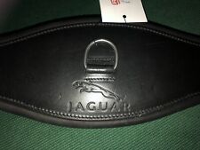 New jaguar english for sale  SWADLINCOTE