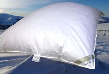 Hofmann letto palloncino usato Hofmann letto palloncino usato  Spedire a Italy