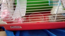Hamster cage make for sale  WATCHET