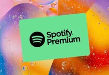 Spotify premium individual gebraucht kaufen  Stein