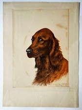 Chasse léon danchin d'occasion  Paris VI