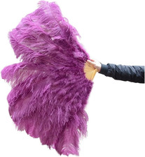 Ventaglio piuma grande usato Ventaglio piuma grande usato  Roma