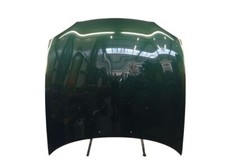Motorhaube haube grün gebraucht kaufen  Wachtendonk