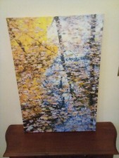 Autumn leaves canvas for sale  Beloit