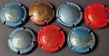 Lot capsules générique d'occasion  Veneux-les-Sablons