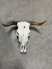 Real bull skull for sale  Weatherford