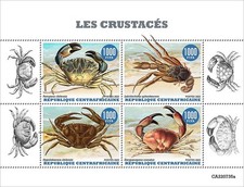 Crabs crustaceans sea for sale  PONTYPRIDD