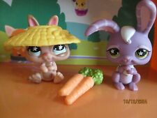 Petshop duo lapin d'occasion  Saint-Omer
