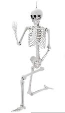 Large poseable skeleton for sale  SHEFFIELD