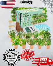 High quality herb for sale  USA
