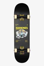 Globe skate completo usato  Sesto Calende