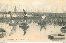 Arcachon oyster park d'occasion  Expédié en Belgium