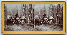 Attelage chevaux bois d'occasion Attelage chevaux bois d'occasion  Paris V