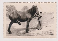 Photo ancienne homme d'occasion  Bar-sur-Seine