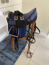 Blue saddle shetland for sale  KIDDERMINSTER