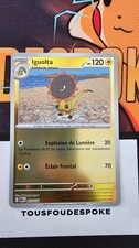 Iguolta 053 132 d'occasion  Rouen-