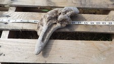Natural driftwood aquarium d'occasion  Expédié en Belgium