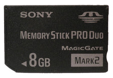 Memory card sony usato  Avellino