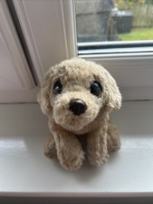 Keel cuddle puppies for sale  OBAN