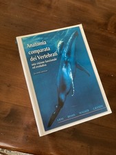 Anatomia dei vertebrati usato  Firenze