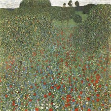 Gustav klimt mohnfeld for sale  USA