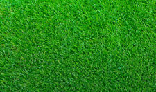 Empire zoysia grass for sale  USA