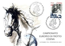 Cesena tematica cavalli usato  Vodo Cadore