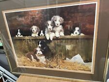 David shepherd puppies for sale  DERBY