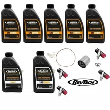 Harley tagliando revtech usato  Saronno