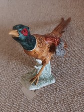 jagdfasan gebraucht kaufen  Mallersdorf-Pfaffenberg